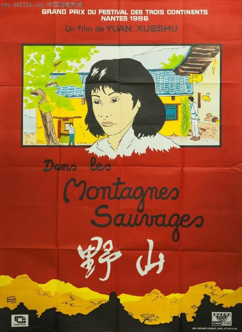 办理假加拿大白卡